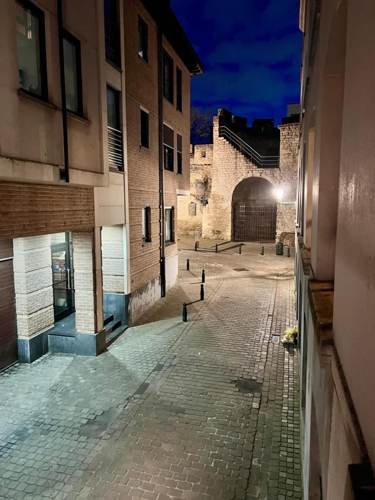 Loft Matyse - 3 Min To Manneken Pis Appartement